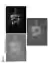 Fig. 03 - Generation of induced pluripotent stem cells from normal human mammary epithelial cells