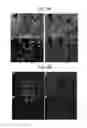 Fig. 21 - Endothelial-targeted Adenoviral Vectors, Methods and Uses Therefor
