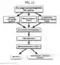 Fig. 25 - Endothelial-targeted Adenoviral Vectors, Methods and Uses Therefor