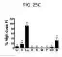 Fig. 40 - Endothelial-targeted Adenoviral Vectors, Methods and Uses Therefor