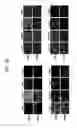 Fig. 51 - Endothelial-targeted Adenoviral Vectors, Methods and Uses Therefor