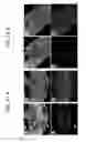 Fig. 54 - Endothelial-targeted Adenoviral Vectors, Methods and Uses Therefor
