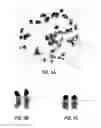 Fig. 05 - Methods and compositions for targeted genetic modification using paired guide RNAs