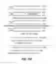 Fig. 19 - Methods and compositions for targeted genetic modification using paired guide RNAs