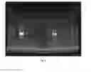 Fig. 06 - Fermentation processes with reduced foaming