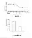 Fig. 10 - POLYMER PARTICLES AND USES THEREOF
