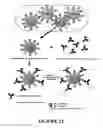 Fig. 14 - POLYMER PARTICLES AND USES THEREOF