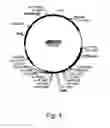 Fig. 05 - Methods For Producing Secreted Polypeptides Having Biological Activity