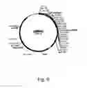 Fig. 07 - Methods For Producing Secreted Polypeptides Having Biological Activity