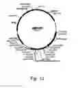 Fig. 11 - Methods For Producing Secreted Polypeptides Having Biological Activity