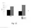 Fig. 14 - Methods For Producing Secreted Polypeptides Having Biological Activity