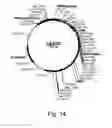 Fig. 15 - Methods For Producing Secreted Polypeptides Having Biological Activity