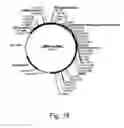 Fig. 19 - Methods For Producing Secreted Polypeptides Having Biological Activity