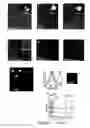Fig. 04 - OLIGONUCLEOTIDE FUNCTIONALIZED QUANTUM DOTS