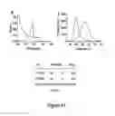 Fig. 06 - OLIGONUCLEOTIDE FUNCTIONALIZED QUANTUM DOTS