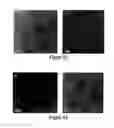 Fig. 08 - OLIGONUCLEOTIDE FUNCTIONALIZED QUANTUM DOTS