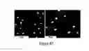 Fig. 11 - OLIGONUCLEOTIDE FUNCTIONALIZED QUANTUM DOTS