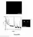 Fig. 19 - OLIGONUCLEOTIDE FUNCTIONALIZED QUANTUM DOTS