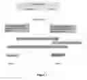 Fig. 02 - METHODS OF DETECTING SYNTHETIC URINE AND MATCHING A URINE SAMPLE TO A SUBJECT