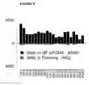 Fig. 06 - Methods and compositions for identifying presence or absence of hypermethylation or hypomethylation locus