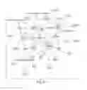 Fig. 10 - METHODS FOR THE DIAGNOSIS OF ONCOLOGICAL DISORDERS USING EPIMETABOLIC SHIFTERS, MULTIDIMENSIONAL INTRACELLULAR MOLECULES, OR ENVIRONMENTAL INFLUENCERS