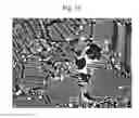 Fig. 11 - Hot-forged TiAl-based alloy and method for producing the same