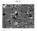 Fig. 12 - Hot-forged TiAl-based alloy and method for producing the same