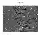 Fig. 13 - Hot-forged TiAl-based alloy and method for producing the same