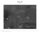 Fig. 15 - Hot-forged TiAl-based alloy and method for producing the same