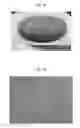 Fig. 16 - Hot-forged TiAl-based alloy and method for producing the same