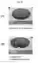 Fig. 20 - Hot-forged TiAl-based alloy and method for producing the same