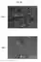 Fig. 22 - Hot-forged TiAl-based alloy and method for producing the same