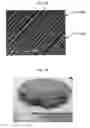 Fig. 24 - Hot-forged TiAl-based alloy and method for producing the same