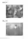 Fig. 02 - TITANIUM-ALUMINUM-BASED ALLOY