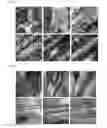 Fig. 08 - TITANIUM-ALUMINUM-BASED ALLOY