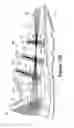 Fig. 61 - Thermoplastic non-woven textile elements