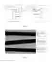 Fig. 02 - METHOD OF PRODUCING A PIGMENT CONTAINING, CATIONIC, HIGH SOLIDS AQUEOUS DISPERSION, AQUEOUS DISPERSION CONTAINING PIGMENTS, AND USE THEREOF