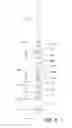 Fig. 07 - Helical pile leads and extensions