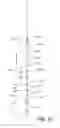 Fig. 08 - Helical pile leads and extensions