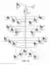 Fig. 54 - Method and system for urban room structures