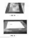 Fig. 09 - Roofing shingle system and shingles for use therein