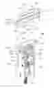 Fig. 01 - Blocking structure of anti-fire door lock