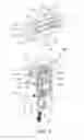 Fig. 05 - Blocking structure of anti-fire door lock