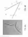 Fig. 05 - HINGE SYSTEM HAVING COMBINED COMPLIANT HINGES