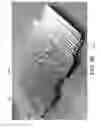 Fig. 10 - HINGE SYSTEM HAVING COMBINED COMPLIANT HINGES