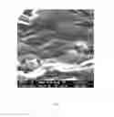 Fig. 03 - FLEXIBLE GRAPHITE PACKER