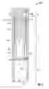 Fig. 06 - CASING CHECK VALVE