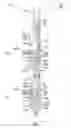 Fig. 03 - Wellbore completion assembly with real-time data communication apparatus