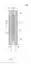 Fig. 02 - Solid state phase change flasking for a downhole tool component