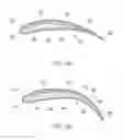 Fig. 03 - Fluidfoil